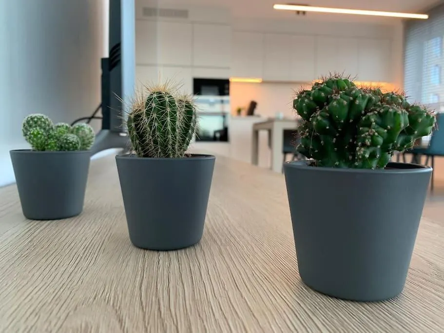 Luxeapp Waterweelde Nabij Oostende-Bredene Centrum Belgium